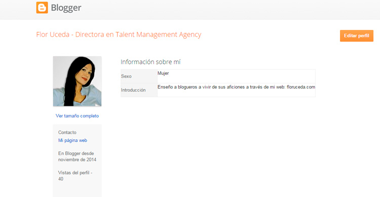 Mi perfil de blogger